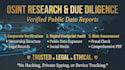 do professional osint research and due diligence