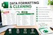 do professional data cleanup, and formatting