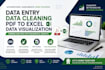 do excel data entry, data cleaning and visualization accurately