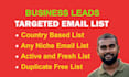 do niche targeted email list, b2b, bulk email list for email marketing