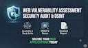 perform professional web vulnerability assessment, security audit, and osint