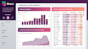 create a professional power bi dashboard