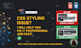 fix CSS issues and styling problems on your website
