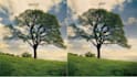 upscale enhance and fix low resolution images to 4k