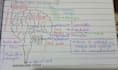 create biology diagrams and educational charts