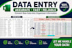accurate data entry and excel data cleaning and sales data