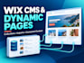 set up your wix cms and dynamic pages