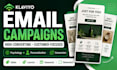 create high converting klaviyo email campaigns for shopify