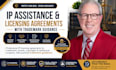 draft ip assistance and licensing agreements with trademark guidance