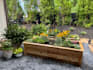 create a custom vegetable garden planting plan