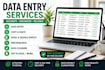 accuate data entry,copy paste and web search