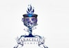 create magical paracelsus games logo
