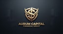 design a professional and powerful dollar logo