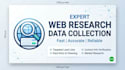 do expert web research