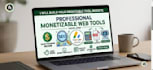 create a professional monitizable tool website