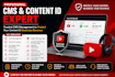 manage youtube cms, content id, mcn, copyright claims, and channel monetization