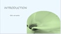 design   professional power powerpoint presentation
