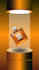 create dynamic 3d presentation and visual assets in blender