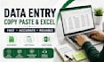 do accurate data entry, excel, copy paste and web research