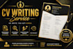 write a professional CV and resume