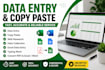do accurate deta entry ,copy paste and web research