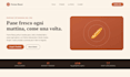 design and develop a professional website