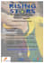 make professional banner ads designs