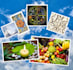 provide personalized dream analysis and interpretation