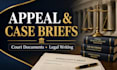 draft appeal briefs, case briefs, legal documents, court documents