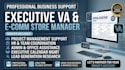 be your virtual executive assistant project management HR assistance admin