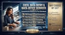 do professional excel data entery , data cleaning and web research