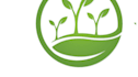 be your professional tree logo designer
