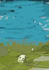 digital illustrations such as objects, landscapes and characters