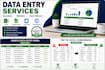 do data entry copy paste web research and excel data cleaning