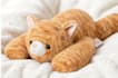 lovingly repair your stuffed animal, plush toy, keepsake