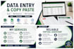 do accurate data entry, excel, copy paste and web research