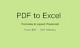 convert PDF to excel with formulas and 1 to 1 layout