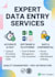 data entry expert for all
