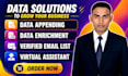 do data appending, data enrichment and lead research