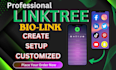 create and set up a professional linktree bio link landing page