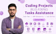 do programming projects and coding tasks in python, cpp, csharp, java and rust