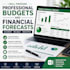 prepare professional budgets and financial forecasts