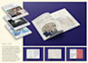 direct and design your complete brand visual ecosystem