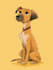 draw disney pet portrait illustration