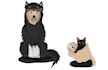 create whimsical character illustrations
