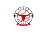 design texas prospects baseball academy logo