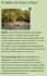 write blogpost, articles, handwritten notes, translation