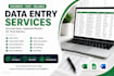do accurate data entry, copypaste, excel and web data entry