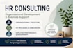 provide HR consulting and organizational development support