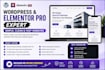 design modern wordpress website as an elementor expert